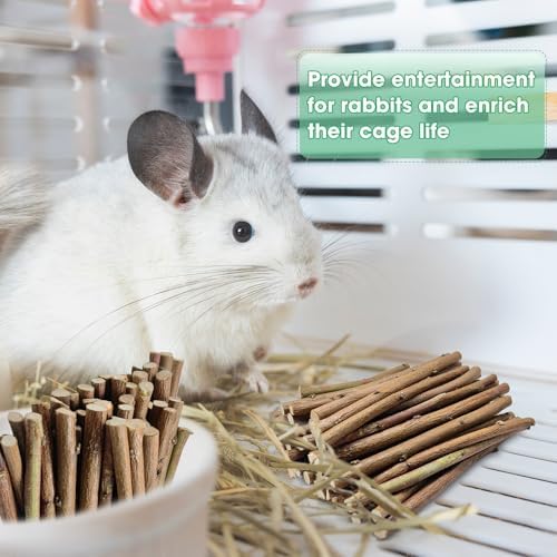 Jorewood 1 LB (16oz) Natural Apple Wood Chew Sticks for Rabbits, Hamsters, Chinchillas - Extra Hard Teeth Grinding Toy | Untreated, Safe & Long-Lasting Rodent Chews
