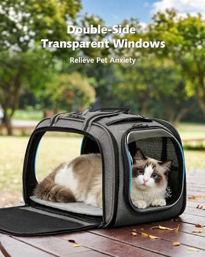 Pecute Cat Carrier,Double Bubble Pet Carrier for Cat Small Dogs,Gray,L
