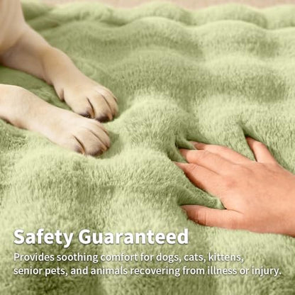 SOMAHE Plush Pet Bed Mat, Machine Washable, Medium 27x20 Fruit Green