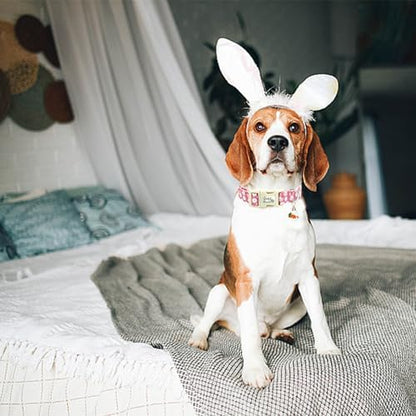 Easter Dog Collar-Cute Rabbit Adjustable Pet Collar Soft Pink Holiday Puppy Collar Comfortable Cotton Necklace Gift for Small Dogs