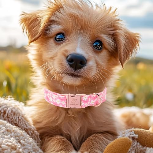 Dainty Daisy Dog Collar, Spring/Summer Pink Floral Girl Dog Collars, Adjustable Heavy Duty Cottagecore Female Dogs Collar for Small Medium Large Dogs with Metal Buckle XL