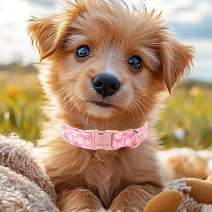 Dainty Daisy Dog Collar, Spring/Summer Pink Floral Girl Dog Collars, Adjustable Heavy Duty Cottagecore Female Dogs Collar for Small Medium Large Dogs with Metal Buckle XL