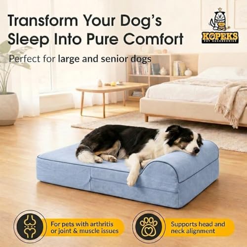 5.5 Inch Thick High Grade Orthopedic Memory Foam Dog Bed With Pillow and Easy to Wash Removable Cover with Anti-Slip Bottom. Free Waterproof Liner Included - for Medium and Large Breed Dogs - Grey
