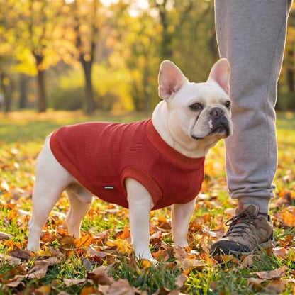 1 Pack Dog Shirt for Small Supplies Functional Waffle Dog Clothes Warm Soft Sweatshirt Outfit for Dogs Cats Pet Apparel