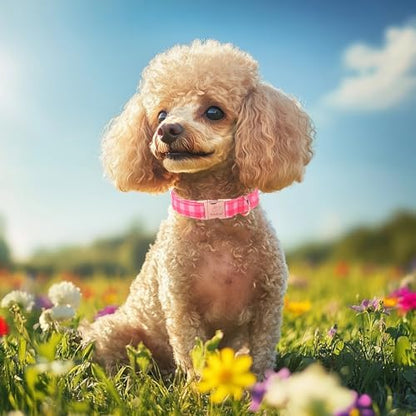 Pink Checkerboard Dog Collar, Classic Girly Plaid Dog Collars, Adjustable Heavy Duty Girl Dogs Collar for Small Medium Large Dogs with Metal Buckle M