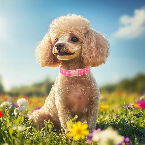 Pink Checkerboard Dog Collar, Classic Girly Plaid Dog Collars, Adjustable Heavy Duty Girl Dogs Collar for Small Medium Large Dogs with Metal Buckle XS