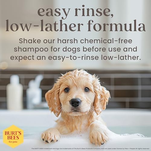 Burts Bees Tearless Shampoo & Conditioner with Buttermilk, 16 Fl Oz, 6-Pk