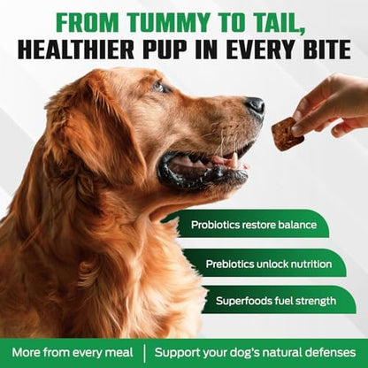 K10 Probiotic Chews for Dogs, Probiotic & Prebiotic Formula, 60 Count