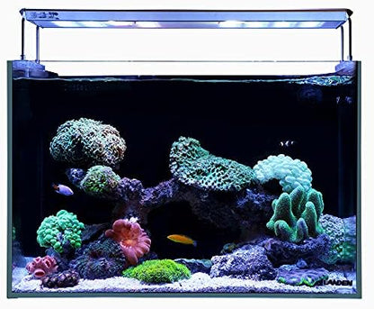 LANDEN EzFlux 60 Rimless 26 Gallon Rear Filtration Tank, Pump Included