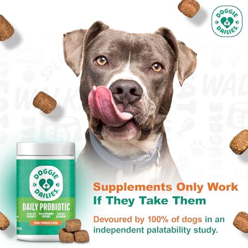 Doggie Dailies Probiotic Soft Chews for Dogs, Pumpkin, 225 Count