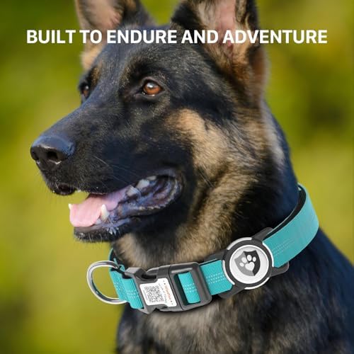 Waterproof AirTag Dog Collar with QR Code Dog Tag, Blue M