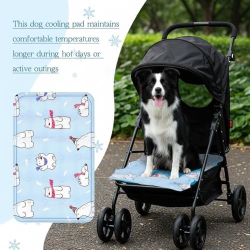 Nuanchu Pet Cooling Mat, Rainbow Bear, 23.62 x 35.43 Inches, 1 Pcs