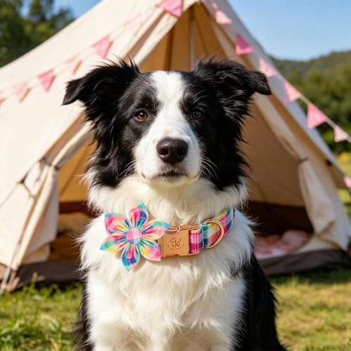 Elegant little tail Dog Collar with Flower, Spring Plaid Girl Pet Collars for Female Dogs Floral Pet Adjustable Puppy Collars with Flowers for Small Medium Large Dogs