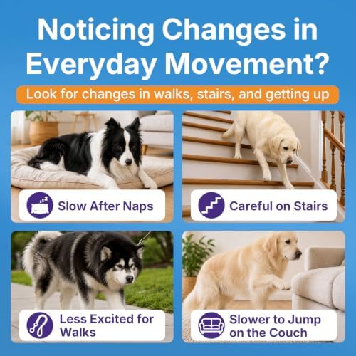 Dog Joint Supplement, Hip and Joint Supplement with Glucosamine Chondroitin