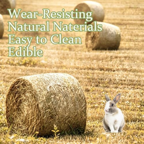 4 Pcs Natural Rabbit Grass Mats Chewable Bedding 11''x8.3''