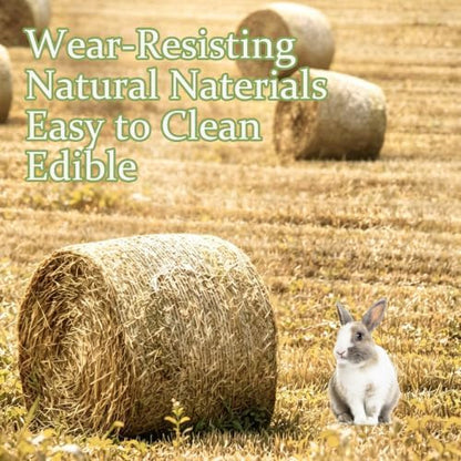 4 Pcs Natural Rabbit Grass Mats Chewable Bedding 11''x8.3''