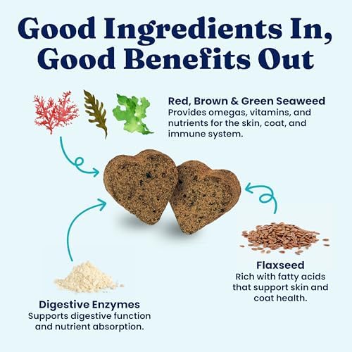Solid Gold Dog Vitamins, Multivitamin Chews for Immune & Skin, 120ct