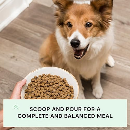 Open Farm Grain Free Dry Dog Food, Pork Kibble, 11lb Bag