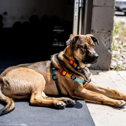 Wolfgang Heavy Duty Adjustable Dog Harness, Pull-Tested to Over 800 lbs for Walking & Training, ChevTech Print, Small