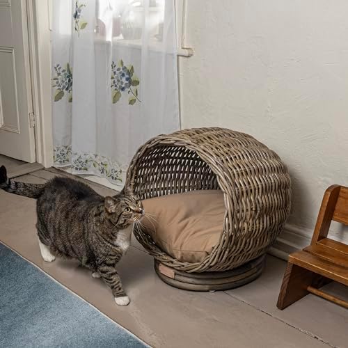 CBD1001A Socket Dome 19.5" x 17" Bohemian Handwoven Rattan Cat Bed with Machine-Washable Cushion, Kubu Gray