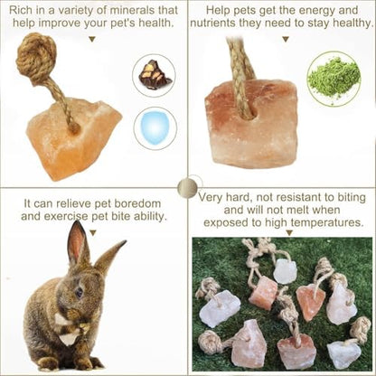 Hamiledyi 16 PCS Rabbit Salt Lick Block Natural Small Animal Himalayan Salt Lick Chew Toys with Hanging Rope Rat Mineral Block Chew Treat Supplies for Bunny Guinea Pig Chinchilla Ferret Hametsr