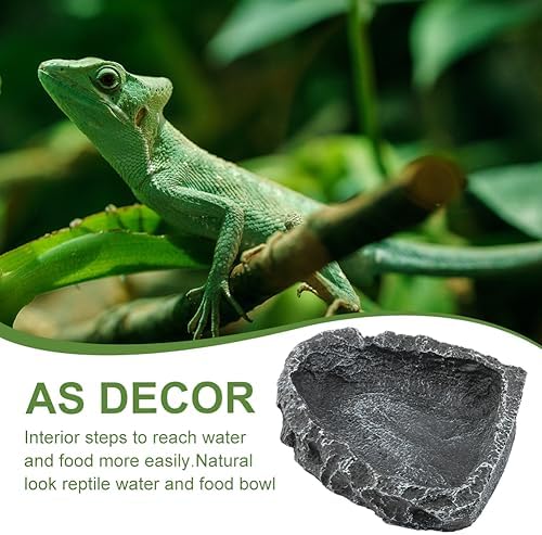 2Pack Reptile Water Dish Food Bowl with Tongs&Shovel,Reptile Feeding Dish-Corner Bowl,Terrarium Water Dish-Feeding Bowl for Bearded Dragon Lizard Frog Gecko Tortoise Hermit Crab