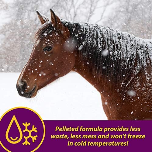 Farnam Horse Health Red Cell Pellets, Vitamin-Iron-Mineral Supplement for Horses, Helps Fill Important Nutritional Gaps in Horse's Diet, 4 lbs., 64-Day Supply (Pack of 4)