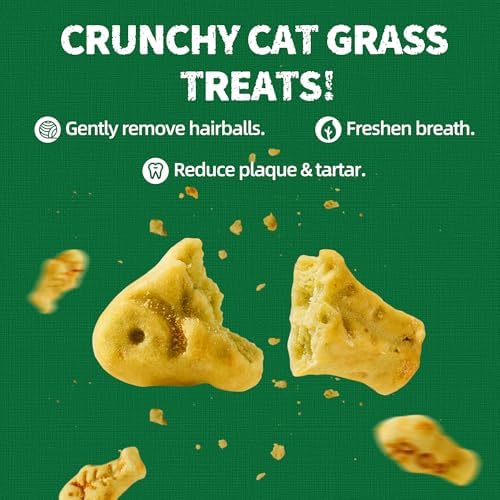 Just Try 36 OZ Cat Grass Treats with Salmon Oil