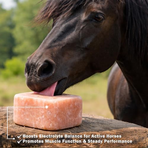 Himalayan Animal Salt Block 22 lb – Natural Mineral Salt Lick for Horses & Cattle – Large Compressed Pink Himalayan Block for Pasture & Herd Use (Non-Fortified)