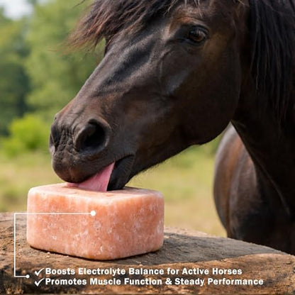 Himalayan Animal Salt Block 22 lb – Natural Mineral Salt Lick for Horses & Cattle – Large Compressed Pink Himalayan Block for Pasture & Herd Use (Non-Fortified)