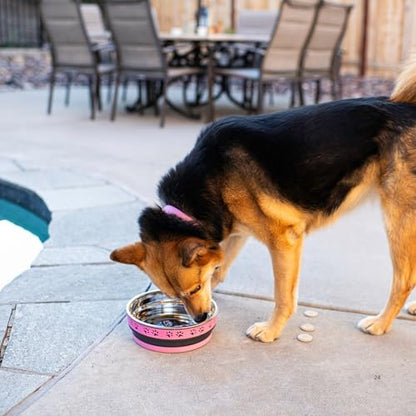 Loving Pets Corsa Dog Bowls- Stainless Steel Dog & Cat Bowls - Spill Proof Dog Food Bowl, Cat Bowl, Puppy Essentials & Pet Supplies Great for Home & Travel (Small 10-20 lbs, Fiery Pink)