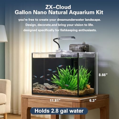 2.8 Gallon Fish Tank with Light,Filter,Lid,Landscape Accessories