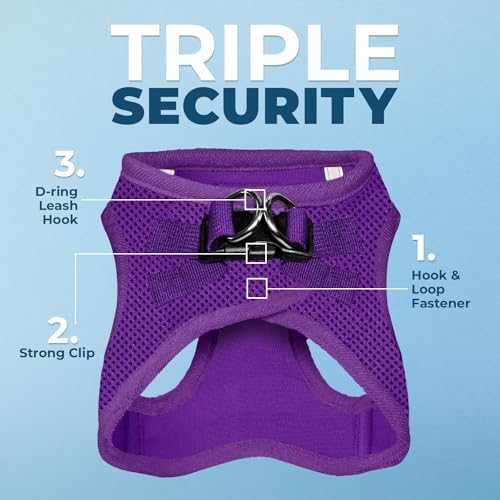 Best Pet Supplies Voyager Step-in Air All Weather Mesh Harness and Reflective Dog 5ft Leash Combo with Neoprene Handle, for Small, Medium and Large Breed Puppies - Purple, Small