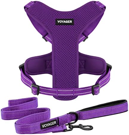 Best Pet Supplies Reflective Dog Leash Set, Reflective Stitching, and Lightweight Breathable No-Pull Design, Adjustable Neck and Chest Straps for Small to Large Breeds - PPW, XS