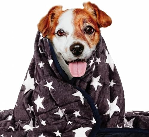 LaSyL Weighted Blanket for Pets | Thunder Blanket for Dogs Anxiety | Premium Soft Minky | Relaxation & Calming & Anti Anxiety | Used in Car, Bed, Couch | Blue Grey Star, Washable Large (40"x47")