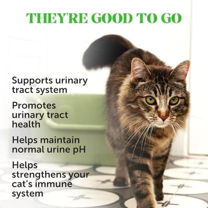 Pet Honesty Vet Recommended Cat Urinary Supplement Crunchy Chews, 30ct