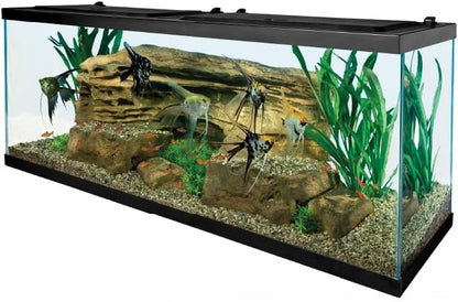 Tetra Complete 55 Gallon Fish Tank Kit for Freshwater & Saltwater Fish