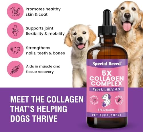 Premium Collagen for Dogs - Liquid Support for Joints, Skin, Coat, Bone, Immune System & HIPS - Collagen Supplement - Made in USA - Bacon Flavor - 8oz