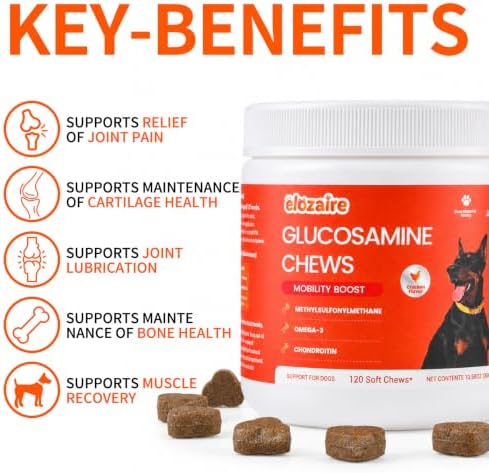 Hip and Joint Chews for Dogs, Glucosamine MSM Chondroitin, 120ct