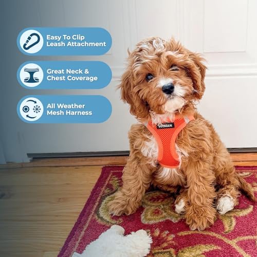 Best Pet Supplies Voyager Step-in Air All Weather Mesh Harness and Reflective Dog 5ft Leash Combo with Neoprene Handle, for Small, Medium and Large Breed Puppies - Orange, X-Small