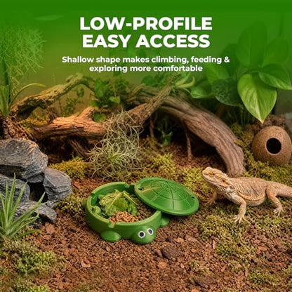 Bearded Dragon Dig Box & Tank Accessory, Turtle Small Reptile Food Dish