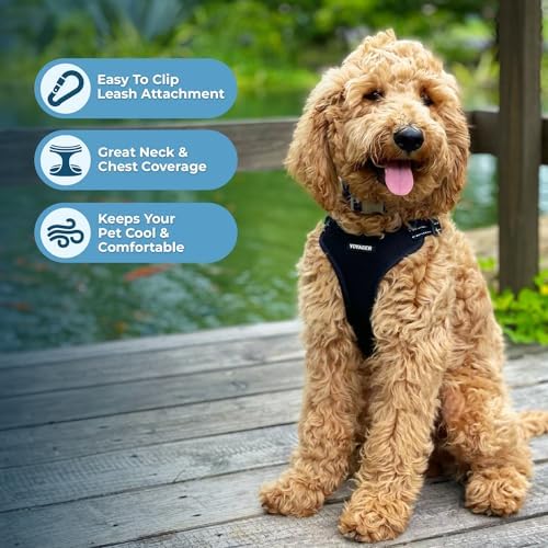 Best Pet Supplies Voyager Adjustable Step-in Flex Breathable Mesh Dog Harness for Small Medium Large Dogs Leash Set (Black), L
