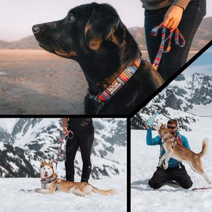 Wolfgang Heavy Duty Martingale Dog Collar with Quick Release Nylon Buckle for Walking & Training, Quetzal Print, Medium