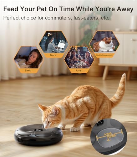 Casfuy Automatic Cat Feeder Cordless - Automatic Cat Food Dispenser for Wet Moist Food with 4 Ice Packs Rechargeable Auto Feeder for Cats Small Dogs with Programmable Timer Low Battery Indicator