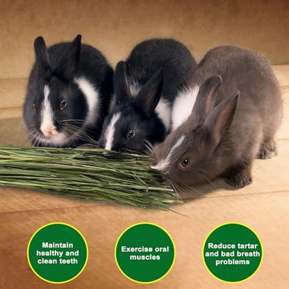 Premium Dust-Free Oat Hay 2.2lbs (2×1.1lbs) for Small Pets