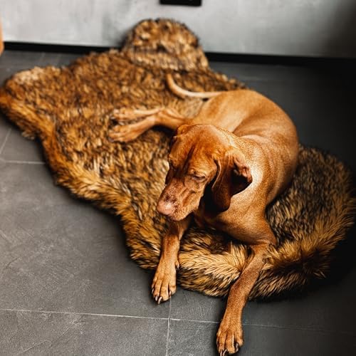 IHAPPYDOG Faux Fur Orthopedic Dog Bed, Memory Foam, Brown 60"x35"