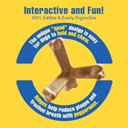 N-Bone Quado Edible Interactive Dog Chew, Peanut Buttter Flavor, Easy Grip Design, Organic Dog Chew Good for Maintain Oral Health, Organic Dog Treat