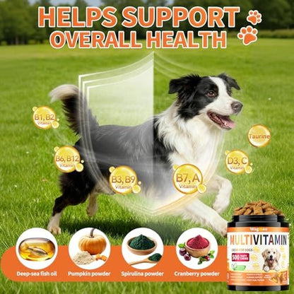 Dog Multivitamin Chews, 16-in-1 Vitamins & Supplements, 500 Soft Chews