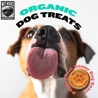 Wet Noses Organic Crunchy Dog Treats Grain Free – All-Natural, Human-Grade, Non-GMO, Healthy Training & Delicious Snacks for Dogs, for All Dog Sizes & Breeds – Apple & Ginger, 14oz (Single Pack)