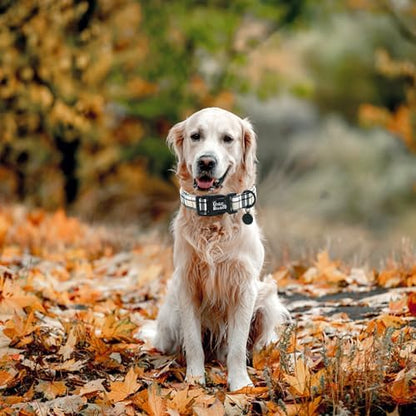 Dog Collar-Plaid Print Adjustable Pet Collar Comfortable Cute Puppy Collars Lightweight Quick-Release Buckle Collars Boy&Girl for Small Dogs